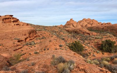 Church Rocks
