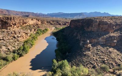 Hurricane Rim Loop