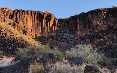Grapevine Trail