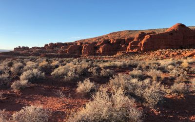 Dino Cliffs
