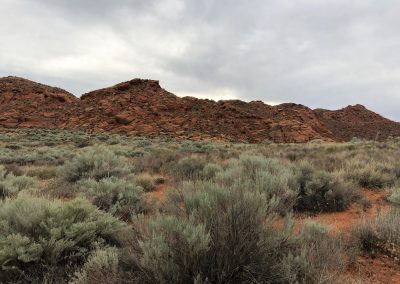 More views from the Grapevine Trails