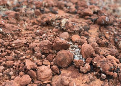 Closeup of Sandstone Marbles on the Grapevine Trail