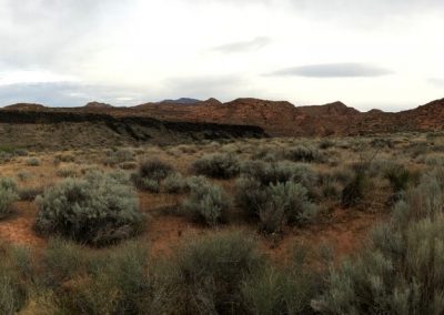 Panoramic view from the Grapevine Trail