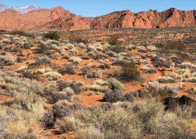 Sandstone Ridge viewed from Grapevine trail