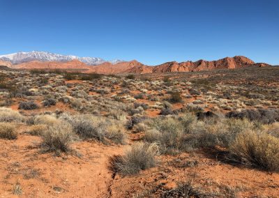 Pine Valley Mountain from Grapevine Trail