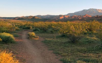 Highland Loop