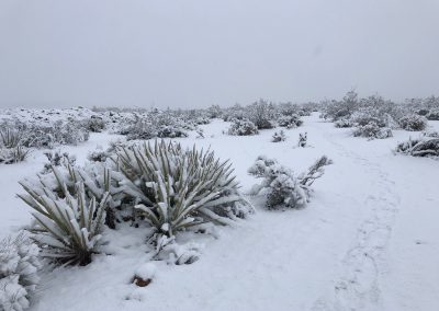 Snowy Highland Loop