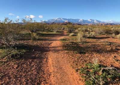Highland Trail and Pine Valley Mountain