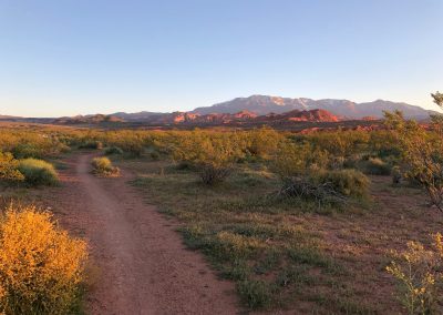 Running toward Pine Valley Mountain
