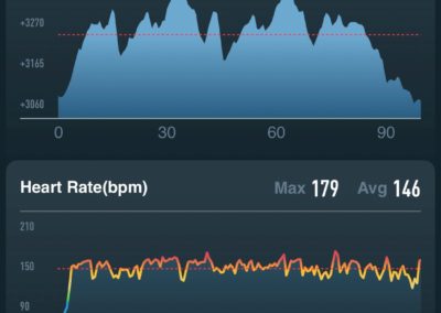 Day 2 - 9.1 Miles - Coros Vertix Stats