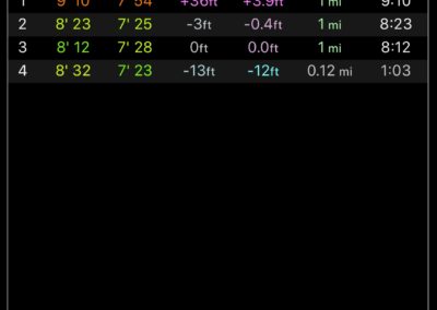 Day 3 - 3.1 Miles - Apple Watch Stats