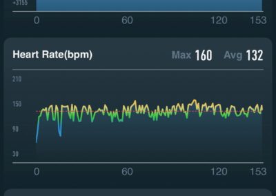 Day 6 - 14.1 Miles - Coros Vertix Stats
