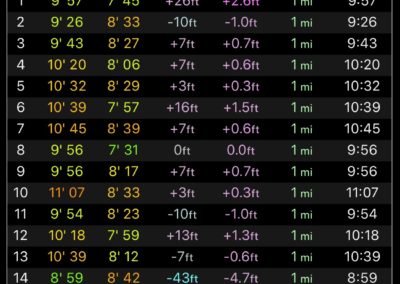 Day 8 - 14.03 Miles - Apple Watch Stats