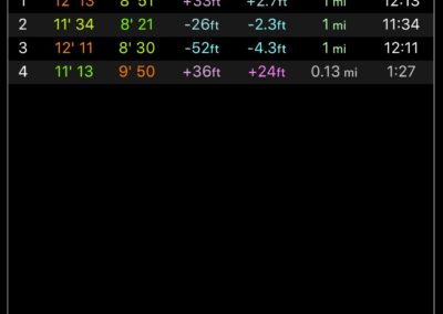 Day 8 - 3.15 Miles - Apple Watch Stats