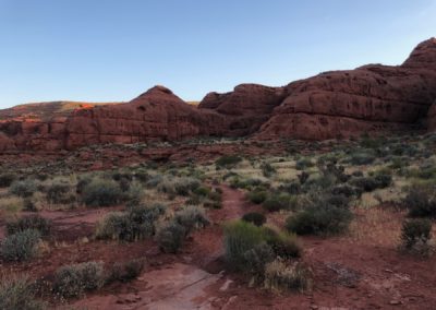 Day 2 - 9.1 Miles - Dino Cliffs