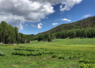 Day 4 - 26.44 Miles - Whipple Valley Meadow