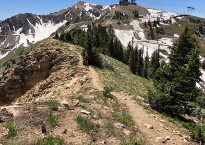 Day 9 - Speedgoat 50k - 32.22 Miles - High Baldy Traverse