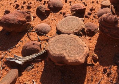 Rings Inside the Sandstone on Braken's Loop
