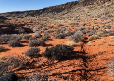 More Sand on Braken's Loop Trail