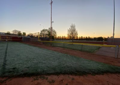 Sunrise on the Frosty Grass