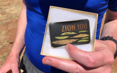 Running the Zion 100